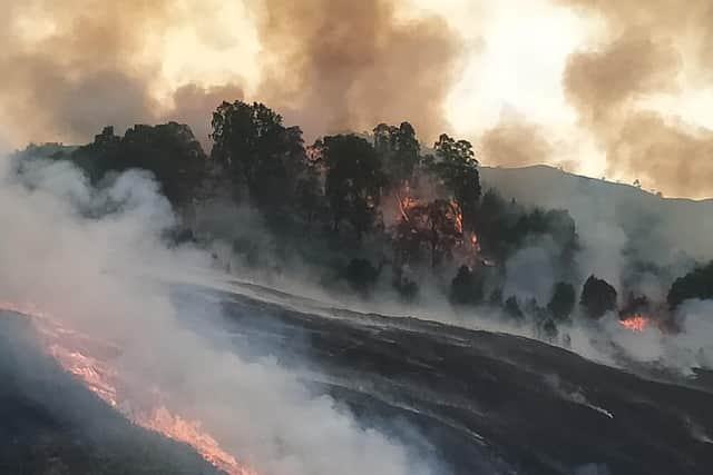 Firefighters battling a giant wildfire which broke out near Cannich in the Highlands in May last year (pic: FLS)
