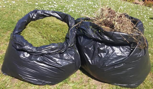 Councillors agreed to fully explore the options for garden waste collection at a workshop later in the year.