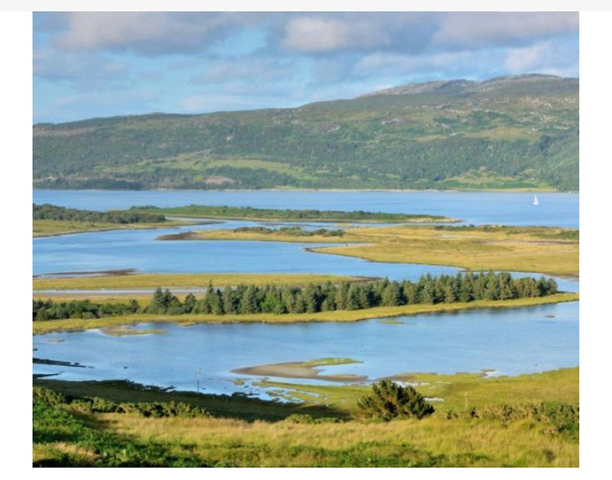 Green entrepreneur aims to raise £21m to help buy third Scottish estate in "game changing" response to climate change