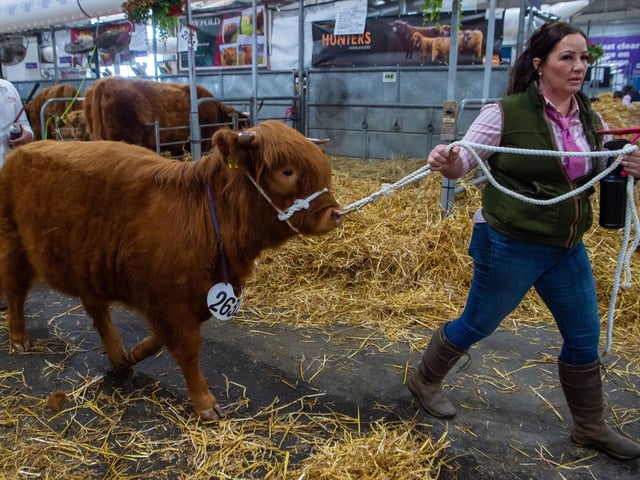 The Royal Highland Show Day 1