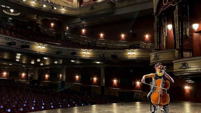 Su-a Lee of the Scottish Chamber Orchestra PIC: Lisa Ferguson / JPI Media