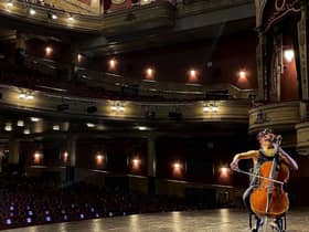 Su-a Lee of the Scottish Chamber Orchestra PIC: Lisa Ferguson / JPI Media