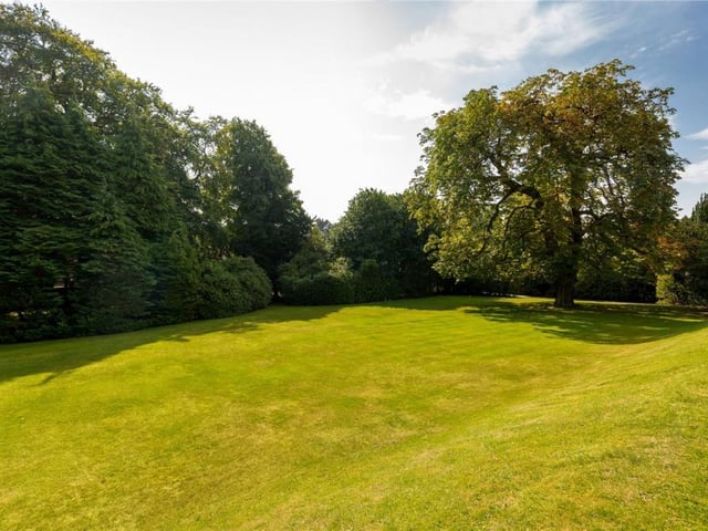 Front garden.