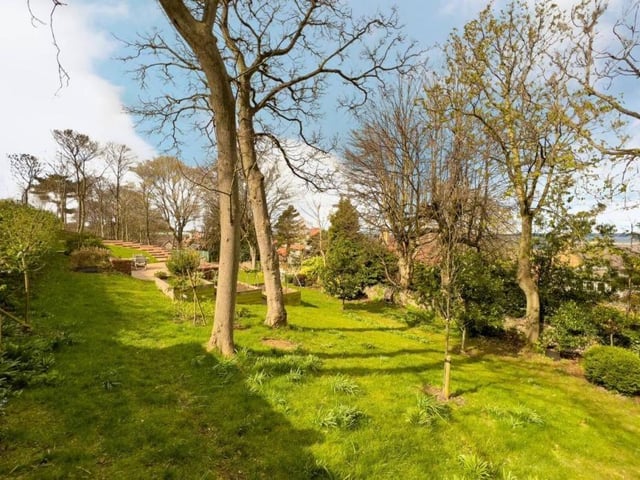 Garden.