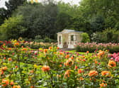 The Rose Garden at Buckingham Palace.
