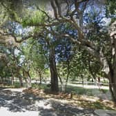 The incident happened at Menlo Park, near San Francisco.