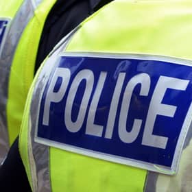 Police have launched an investigation after a woman was attacked on a train.