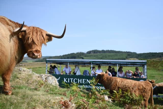 Kitchen Coos & Ewes, run by Neale and Janet McQuistin, of Airyolland Farm. Picture: John Devlin/JPIMedia