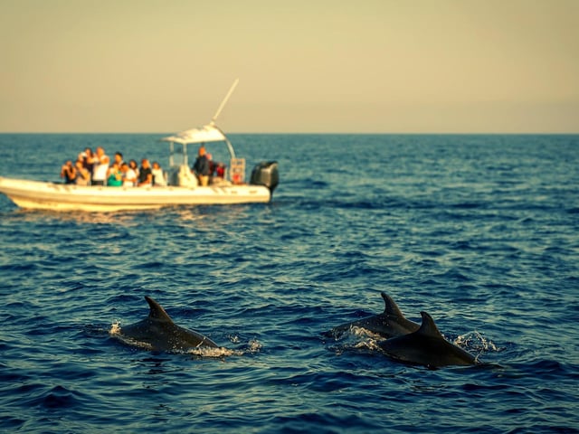 Looking for a sea-themed adventure? Try out Greyhope Bay to see the newly opened dolphin viewing centre in Aberdeen. The centre has been recorded as the “best place” to spot Bottlenose dolphins from the UK. What’s more, they’re so close that you don’t even need binoculars. Best of all, entry is free, so swing by between Wednesday and Sunday from 10AM-6PM so you and your little ones can go ‘dolphin watching’ (https://www.greyhopebay.com/).