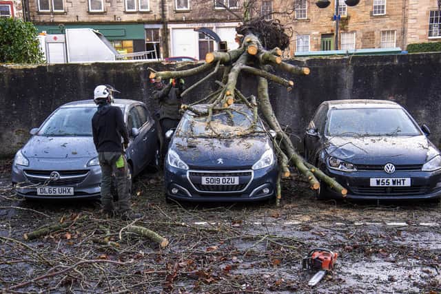 Tree surgeons remove branches from damaged cars in The Vennel, Linlithgow, after Storm Isha struck. Picture: Lisa Ferguson
