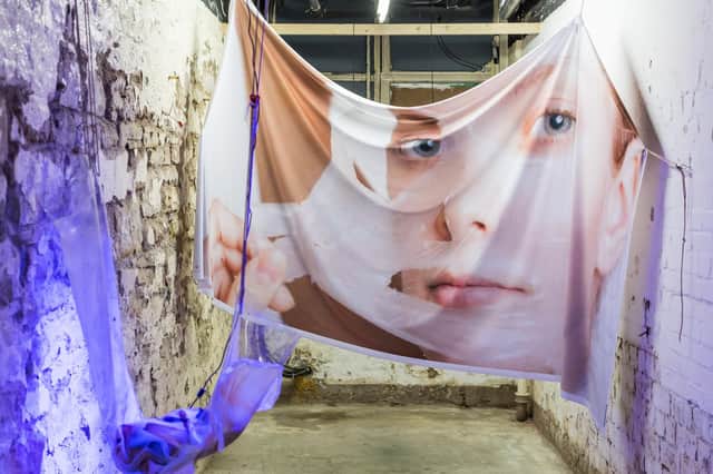 Under My Skin by Stephanie Wilson at the 2018 Out of Sight Out of Mind exhibition PIC: Chris Scott