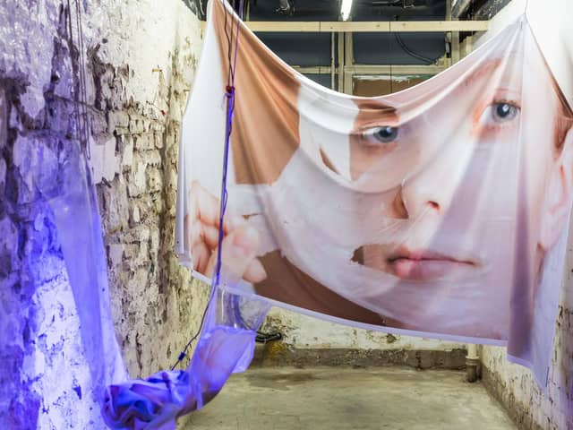 Under My Skin by Stephanie Wilson at the 2018 Out of Sight Out of Mind exhibition PIC: Chris Scott