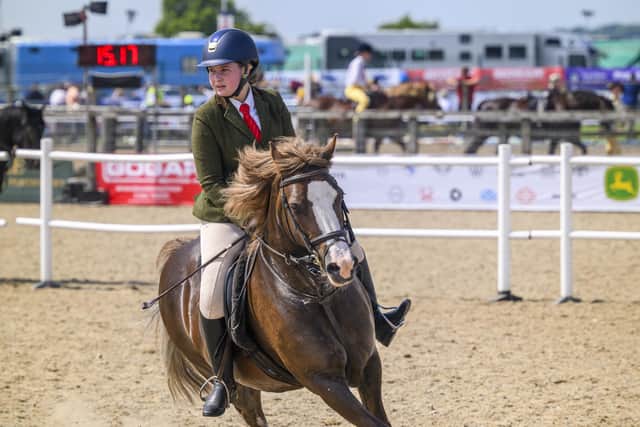 Royal Highland Show, Edinburgh. Scotland. Pic Phil Wilkinson  / Royal Highland Show RHS
