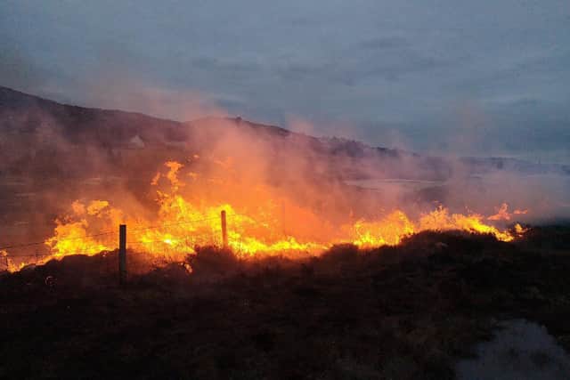 Pictures taken - with permission - from the twitter feed of @murdomaclean
Loch Moor isle of lewis fire.