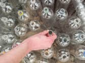 Deposit return schemes have been in use around the world for many years.