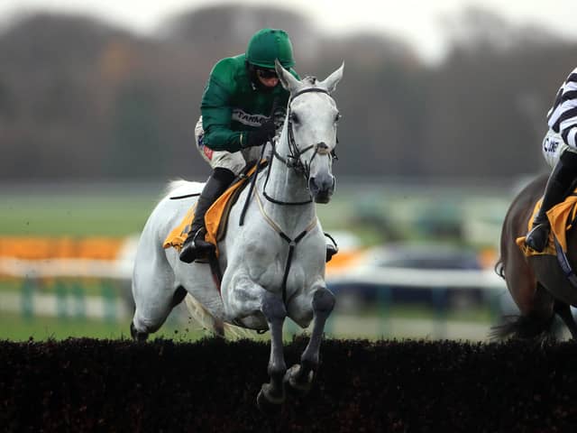 Bristol de Mai and Daryl Jacob are a strong partnership over the Aintree fences.