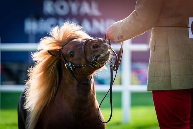 The Royal Highland Show has been entertaining millions of people for two centuries