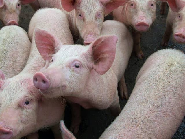 Farm incomes under pressure