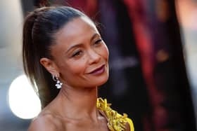 Thandiwe Newton's judgement of Sean Penn's remarks about men being 'feminised' was scathing (Picture: Valerie Macon/AFP via Getty Images)