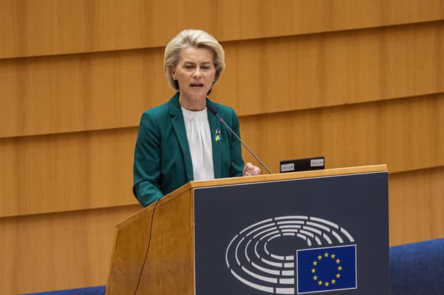 European Commission President Ursula Von der Leyen speaks to the European Parliament about Russia's invasion of Ukraine (Picture: Jonas Roosens/Belga Mag/AFP via Getty Images)
