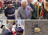 A man has been detained by police for allegedly throwing eggs at the King and Queen Consort.