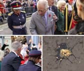 A man has been detained by police for allegedly throwing eggs at the King and Queen Consort.