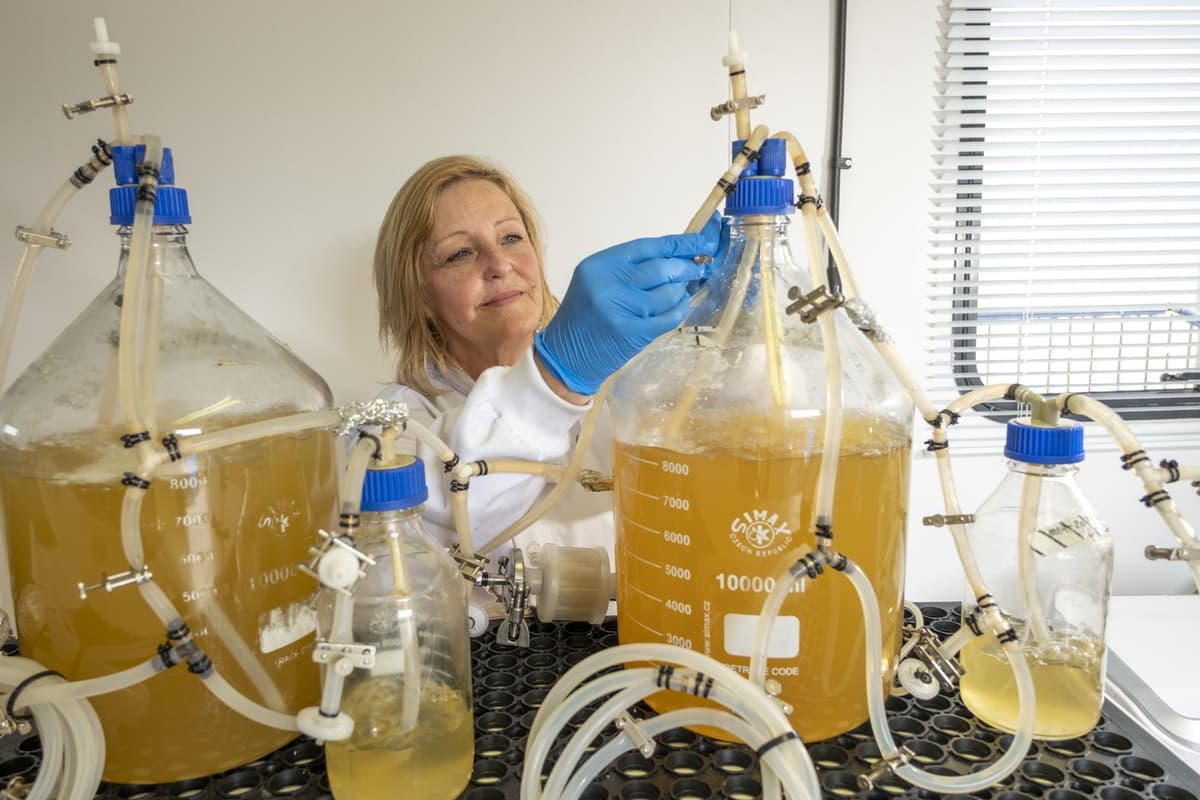 Dram good plan: Scottish biotech business turns whisky waste into omega-3
