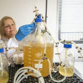 MiAlgae bosses have big plans for expansion of the biotech firm's operations, turning whisky waste into a sustainable source of omega-5 fats that can be fed to farmed fish and pets. Picture: Peter Devlin