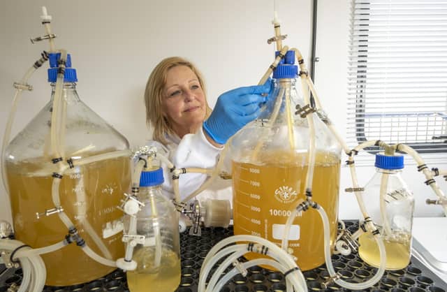 MiAlgae bosses have big plans for expansion of the biotech firm's operations, turning whisky waste into a sustainable source of omega-5 fats that can be fed to farmed fish and pets. Picture: Peter Devlin