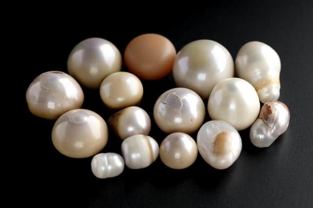 A selection of Scottish freshwater pearls. PIC: NMS/Dr Sarah Laurenson.