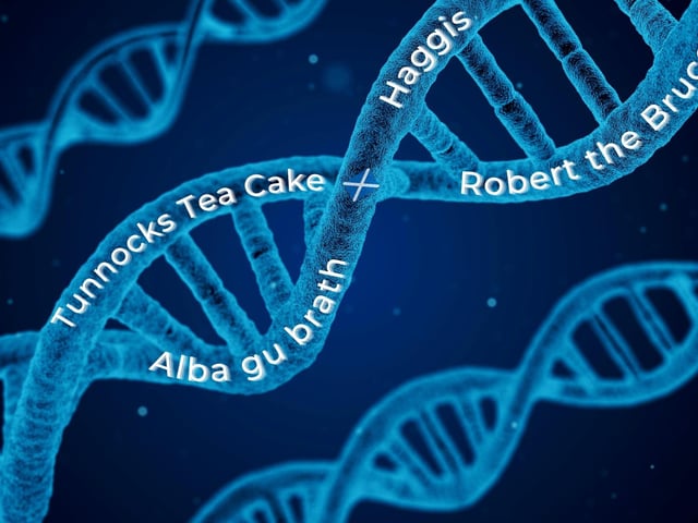 So, you check out ancestry.com and found your DNA is 5% Scottish and could be from Robert the Bruce? It's cool to explore your heritage. However, locals here tend to assert that you need to either be born and bred in, or have lived in Scotland for a long time in order to be considered “Scottish.”