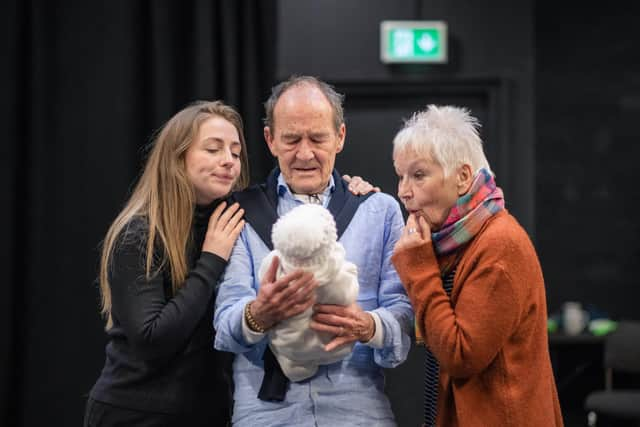 Sinead Sharkey, David Hayman and Ann Louise Ross in Cyprus Avenue PIC: Mihaela Bodlovic