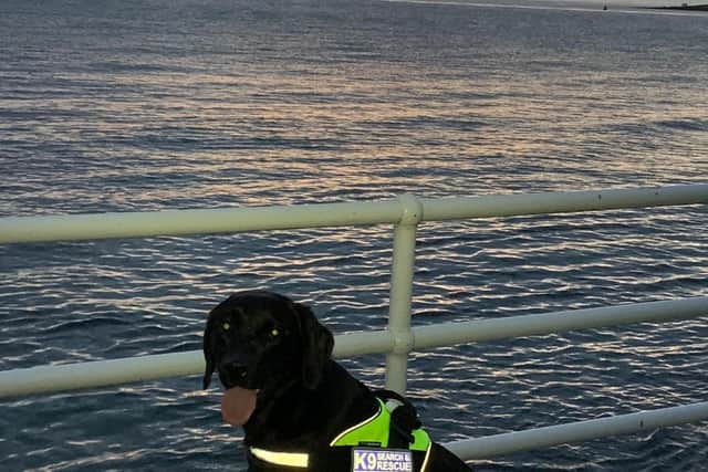 Air-scenting search and victim recovery dogs from Northern Ireland were involved in the search (Photo: K9 Search & Rescue NI).