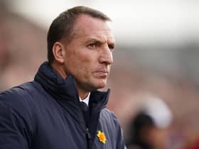 Ex-Celtic manager Brendan Rodgers insists he would have been able to keep Leicester in the Premier League had he been allowed to see things through to the end of the season.