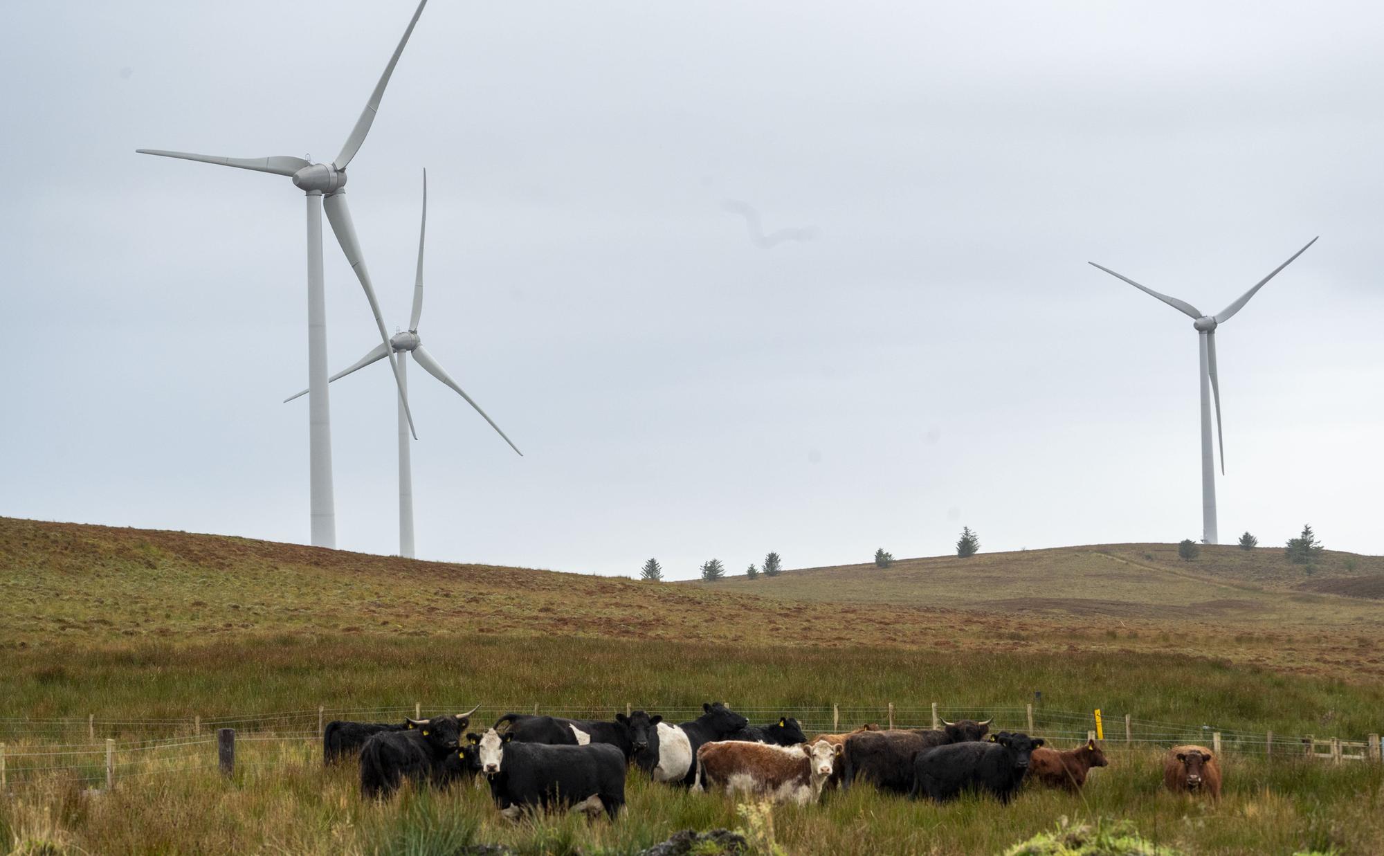 Why Scottish onshore wind is critical for UK's energy security