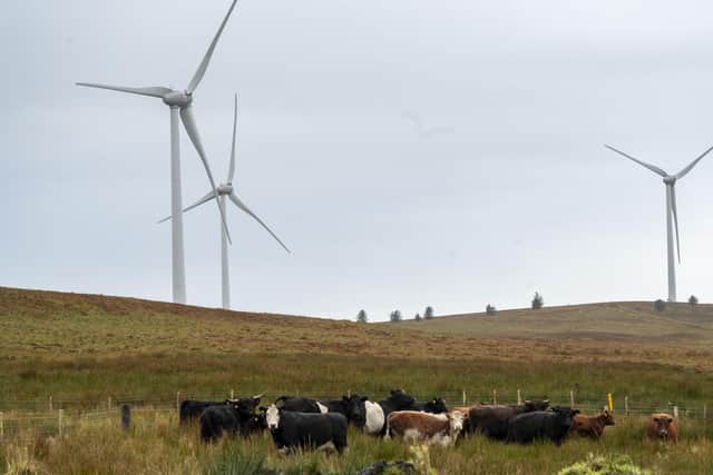Deployment of Scottish onshore wind falls off a cliff after 2030 under current proposals (Picture: Lisa Ferguson)