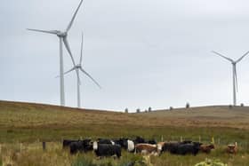 Deployment of Scottish onshore wind falls off a cliff after 2030 under current proposals (Picture: Lisa Ferguson)