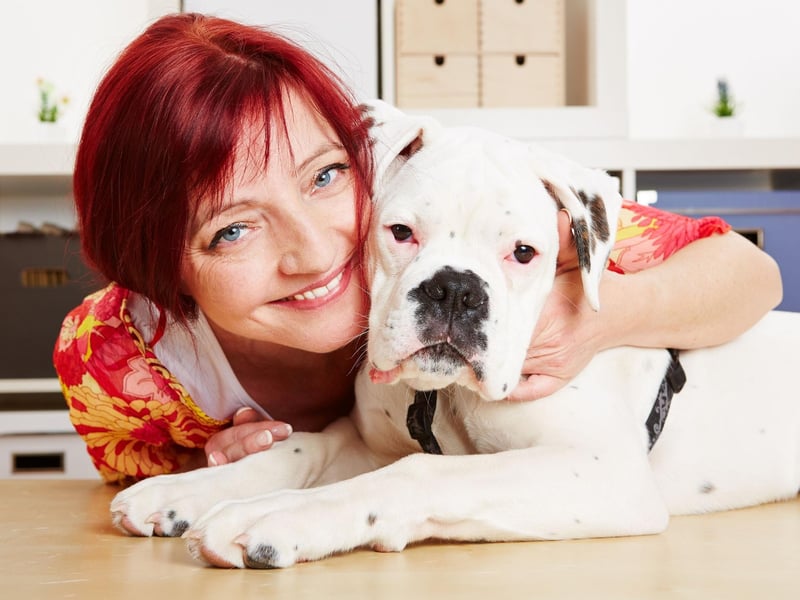They may occasionally look a little grumpy, but Boxers are known for making unusually deep and strong bonds with their family. It means that they demand more attention and affection than other dogs, but mirror it back tenfold.