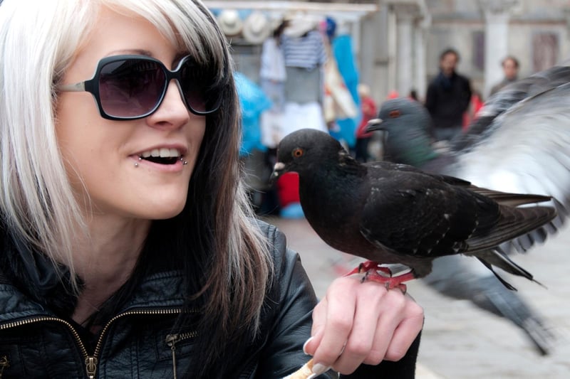 This is another way of asking someone how they are. To reply, you can say “jist chavin’ awa” (just working away) or “nae bad” (not bad). Reportedly, the literal translation of the phrase is “how are your pigeons?” which is pretty coo’ (pigeon noise pun?)