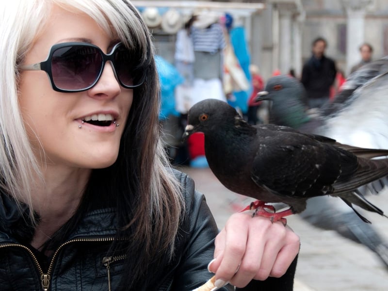 This is another way of asking someone how they are. To reply, you can say “jist chavin’ awa” (just working away) or “nae bad” (not bad). Reportedly, the literal translation of the phrase is “how are your pigeons?” which is pretty coo’ (pigeon noise pun?)