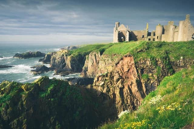 The coast is a paradise for wildlife – as well as the inspiration for Dracula