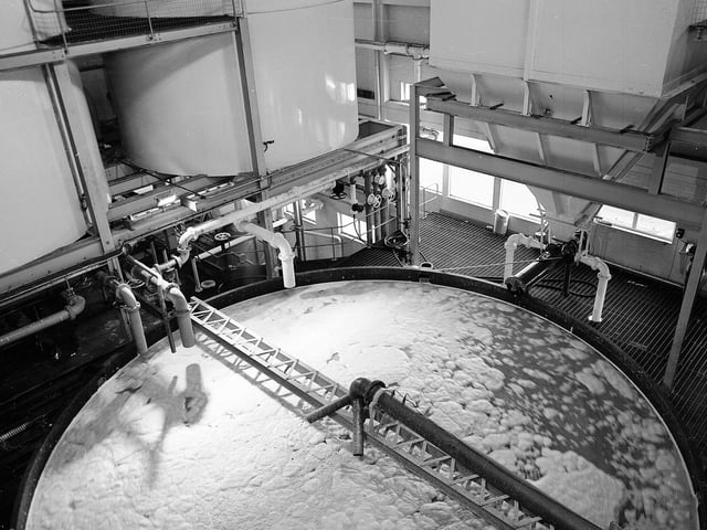 Production at the Grants Distillery, in Girvan, in October 1964.