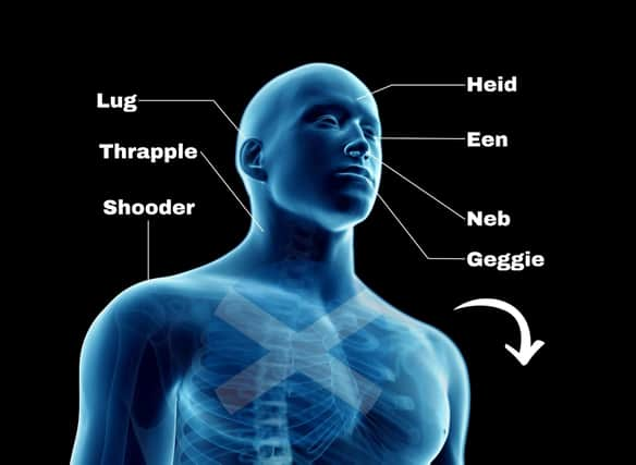 Scotland is famous for its colourful vocabulary and that includes our descriptions of the human body via the Scots language.