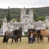 Sylvia Ormiston, the stud manager at Balmoral with some of the Highland Pony herd. Picture by Jim Crichton.