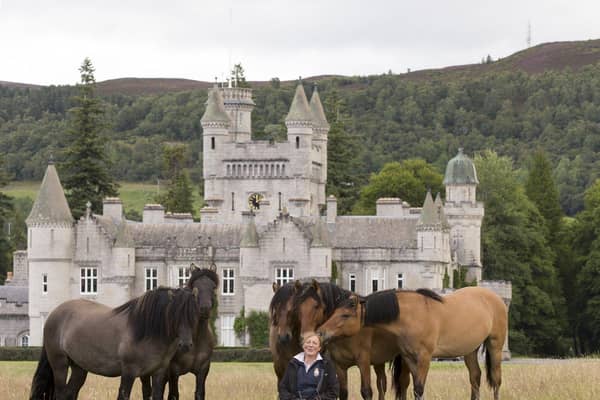 Sylvia Ormiston, the stud manager at Balmoral with some of the Highland Pony herd. Picture by Jim Crichton.