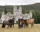 Sylvia Ormiston, the stud manager at Balmoral with some of the Highland Pony herd. Picture by Jim Crichton.