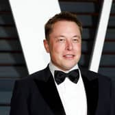 A Generic Photo of Elon Musk.