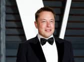 A Generic Photo of Elon Musk.