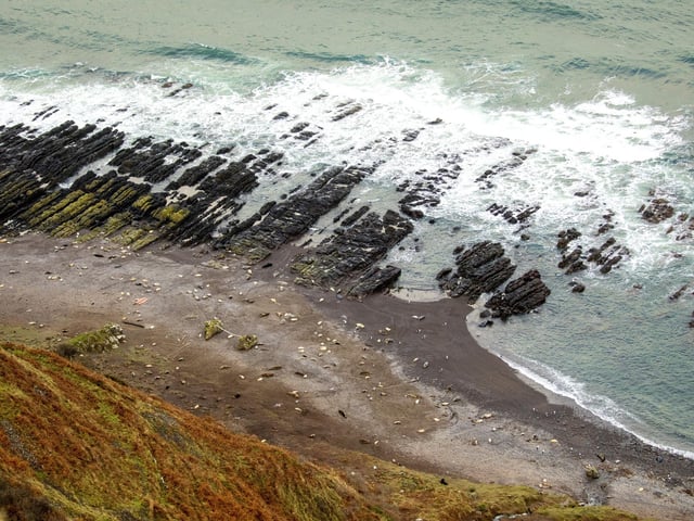 Ciaran Hatsell, a ranger at St Abb’s Head for the last ten years, issued a warning to the public not to approach the animals for ‘sealfies’.