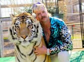Tiger King. In short, Joe Exotic doesn't like Carole Baskin.